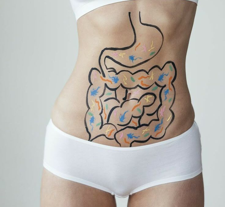 Inchaço, gases e Low-FODMAP: quando vale a pena? Guia do nutricionista para SII